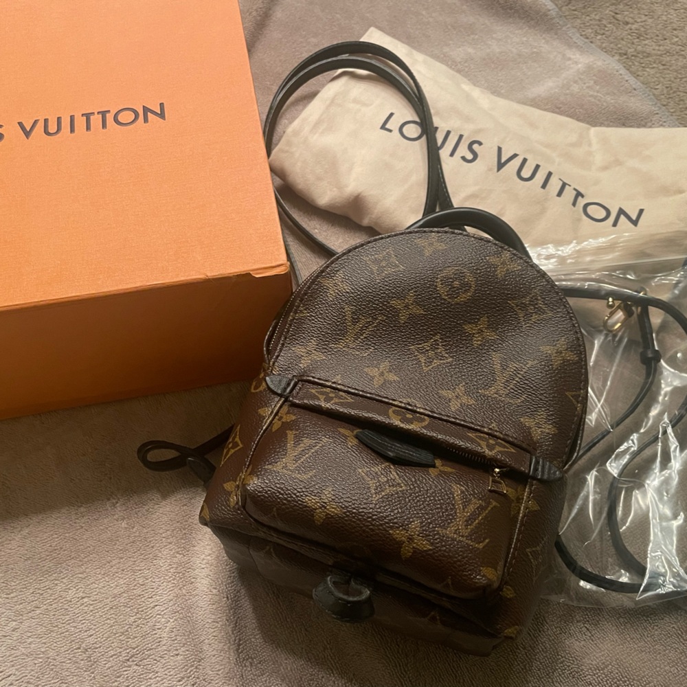 Louis Vuitton Palm Springs Mini backpack